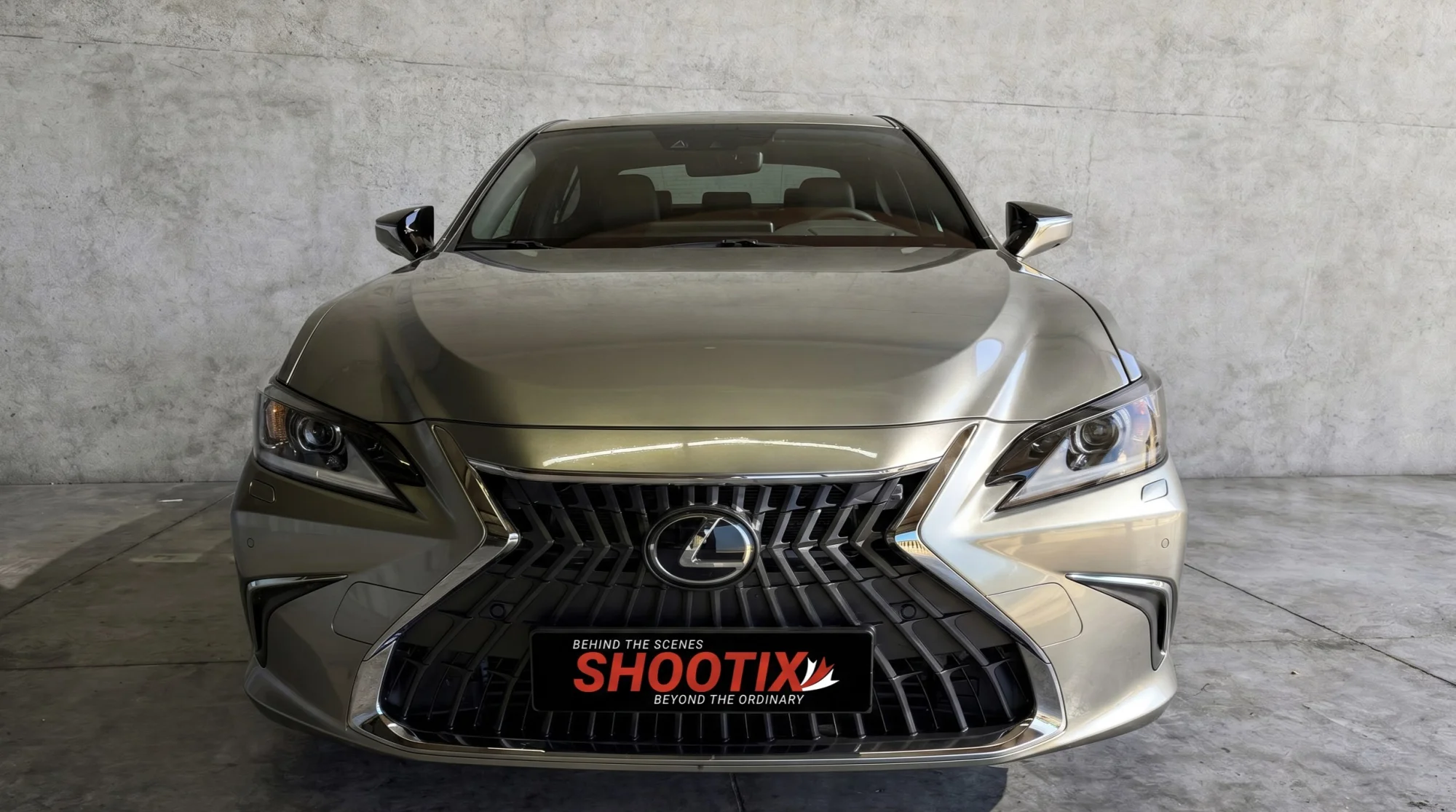 Lexus ES 300h